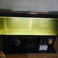 Aquario 500 litri