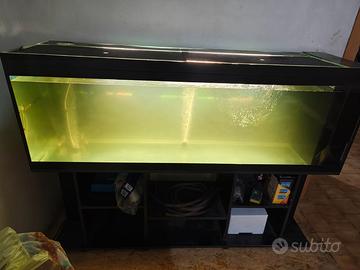 Aquario 500 litri