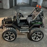 Gaucho peg perego 24 volt.