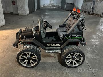 Gaucho peg perego 24 volt.