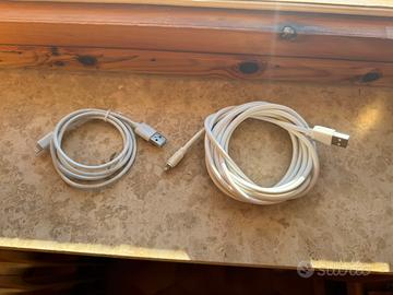 Due cavi lighting/usb