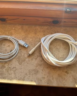 Due cavi lighting/usb