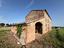 Immagine 11