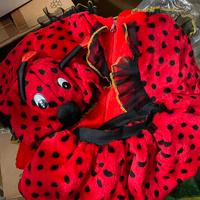 Costume coccinella 2/3anni