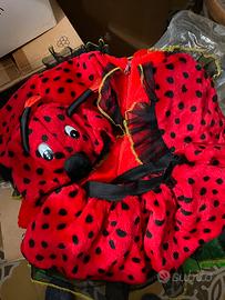 Costume coccinella 2/3anni