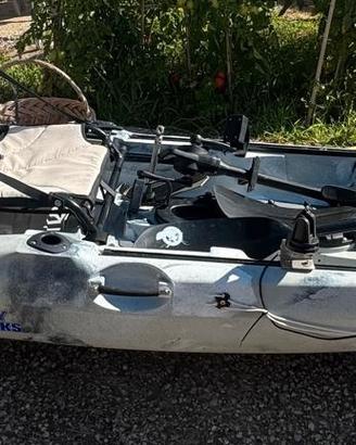 Kayak galaxy supernova  fx