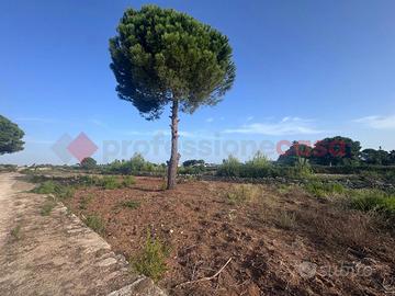 Terreno Residenziale Manduria [1307VRG]