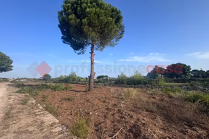 Terreno Residenziale Manduria [1307VRG]