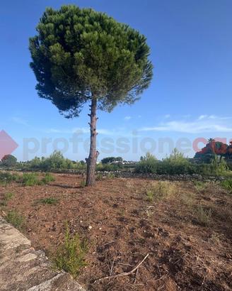 Terreno Residenziale Manduria [1307VRG]