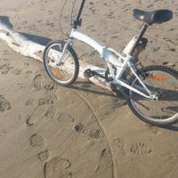 bici 20 pieghevole 