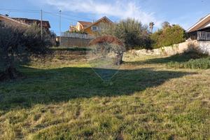 Terreno Edificabile - Mirabella Imbaccari