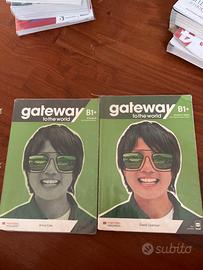 GATEWAY B1