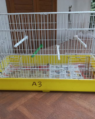 Gabbie ed accessori per gabbie