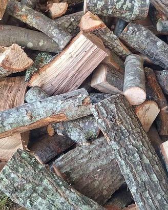 legna da ardere secca 