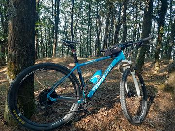 Mtb Torpado Ribot A 29 L
