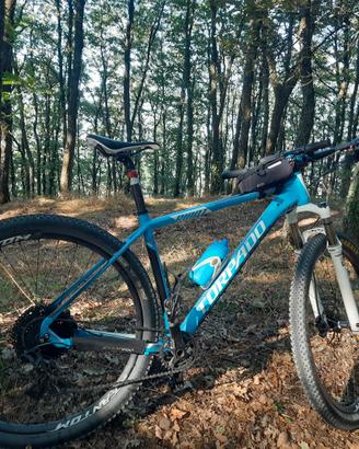 Mtb Torpado Ribot A 29 L