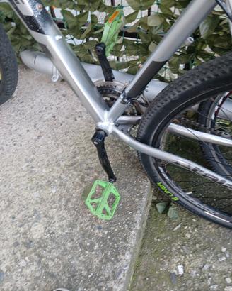 bici Bella pituratta da me lo Fatto nuovo desain