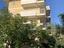 Immagine 13