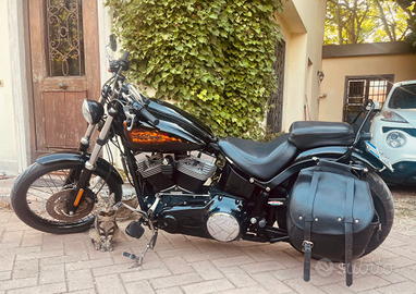 Harley Davidson softail black line