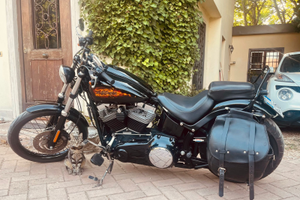 Harley Davidson softail black line