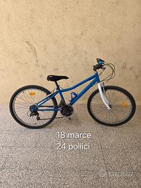 bicicletta 