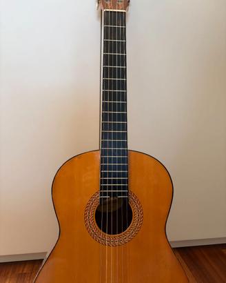 Chitarra Acustica Marina C-100