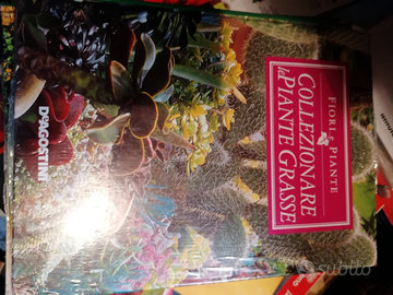 Libro, COLLEZIONARE PIANTE GRASSE, ancora incelofa