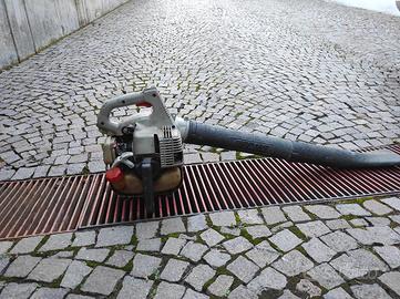 soffiatore e aspiratore Echo 