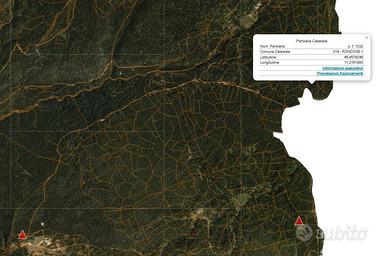 Terreno e legna da ardere