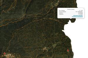 Terreno e legna da ardere