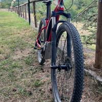 Mtb E-Bike Fantic