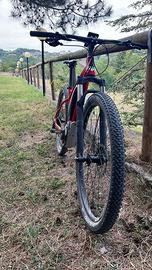 Mtb E-Bike Fantic