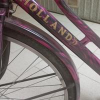  Bici  Holland