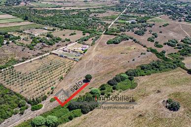 Terreno Agricolo Teggia e Sambene