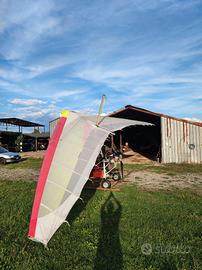 Deltaplano a motore