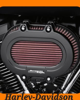 FILTRO SCREAMIN EAGLE HARLEY DAVIDSON