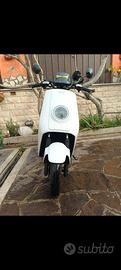 NIU NQI Sport Cargo 50cc batteria estesa 