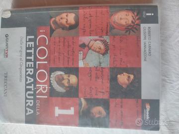 Libro Colori della letteratura 1