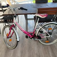 Bicicletta