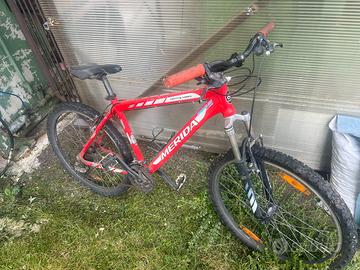 Mountain bike