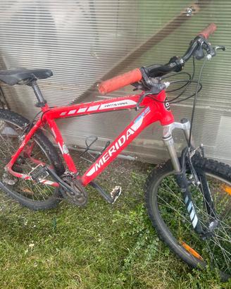 Mountain bike