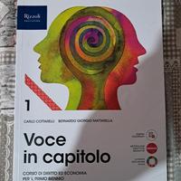 voce in capitolo 