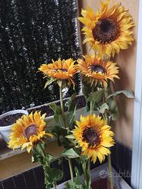 Girasoli artificiali