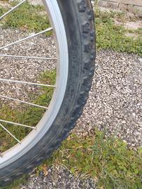 bici bambina 20"