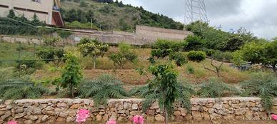 Appartamento nel verde con 6oo mq giardino
