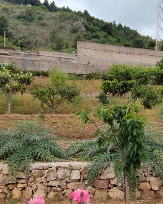 Appartamento nel verde con 6oo mq giardino