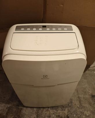 Climatizzatore Electrolux Raffredda, riscalda