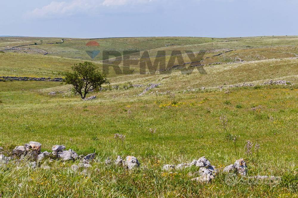 Terreno - Collesano - More