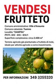 Terreno agricolo Tuenno