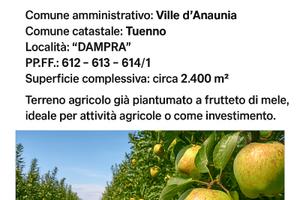 Terreno agricolo Tuenno